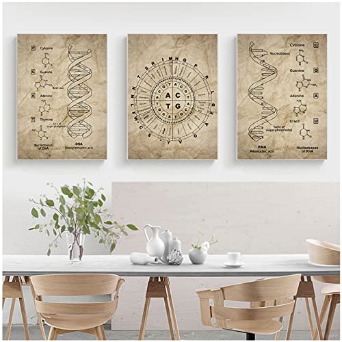 Dna And Rna Genetic Code Wall Art Canvas Painting Prints Genetics Biochemistry Student Gift Vintage Posters Science Wall Decor Frameless von GSHRED