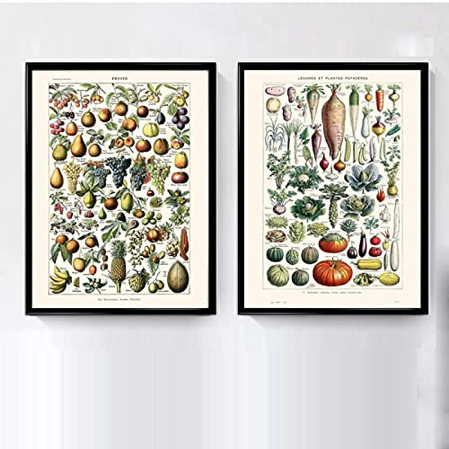 GSHRED Retro-Stil Gemüse Obst Lebensmittel Poster Bildung Wandkunst Bild Leinwand Gemälde Druck Küche Restaurant Dekor ungerahmt 30 × 40 cm × 2 Stück von GSHRED