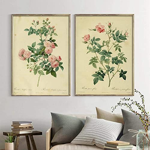 Pflanzen Illustrationen Leinwand Poster Vintage Botanische Drucke Büro Studien Dekor Wandkunst Bilder Blumenmalerei rahmenlos 40 × 60 cm × 2 Stück von GSHRED