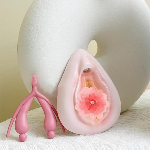 2 Stück Vulva/Klitoris Kombinationsmodell Weibliches gynäkologisches Modell,Anatomie des äußeren Fortpflanzungssystems,Vorhaut, Harnröhre Modell für intuitives Lehren und praktische Anwendung 2 Stück Vulva/Klitoris Kombinationsmodell Weibliches gynäkologisches Modell,Anatomie des äußeren Fortpflanzungssystems,Vorhaut, Harnröhre Modell für intuitives Lehren und praktische Anwendung von GSJDKN