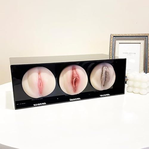 Weibliches gynäkologisches Modell, Vulva/Klitoris Modell Vorhaut-Harnröhre-Genitaltrakt-Modell Zur detaillierten Erforschung der Struktur und Funktionen des Genitaltrakts (Black upgrade) von GSJDKN