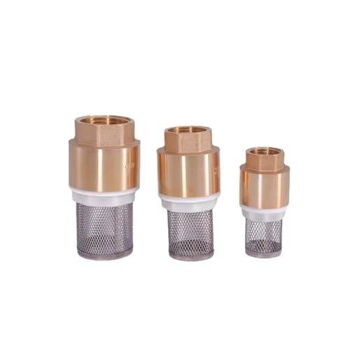 1 Stück 1/2 Zoll bis 3 Zoll Innengewinde, Messing-Rückschlagventil mit Maschensieb – langlebiges Fußventil for Wassersysteme(2") von GSUNLEO