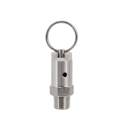 1 Stück Überdruckventil aus Edelstahl 304 for selbstgebraute Fässer – 1/4 Zoll NPT-Außengewinde, einstellbar von 17 PSI bis 100 PSI(100psi) von GSUNLEO