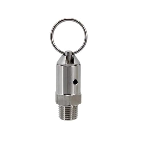 1 Stück Überdruckventil aus Edelstahl 304 for selbstgebraute Fässer – 1/4 Zoll NPT-Außengewinde, einstellbar von 17 PSI bis 100 PSI(100psi ss) von GSUNLEO