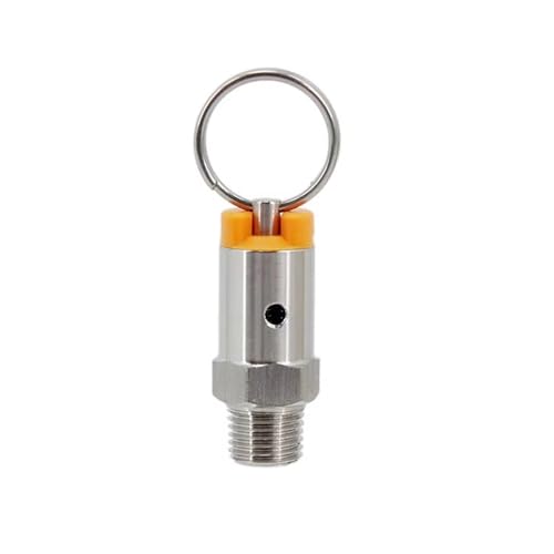 1 Stück Überdruckventil aus Edelstahl 304 for selbstgebraute Fässer – 1/4 Zoll NPT-Außengewinde, einstellbar von 17 PSI bis 100 PSI(17ps) von GSUNLEO