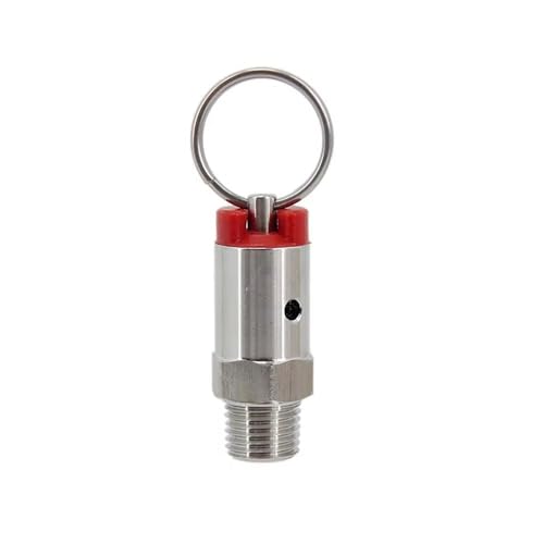 1 Stück Überdruckventil aus Edelstahl 304 for selbstgebraute Fässer – 1/4 Zoll NPT-Außengewinde, einstellbar von 17 PSI bis 100 PSI(35psi) von GSUNLEO