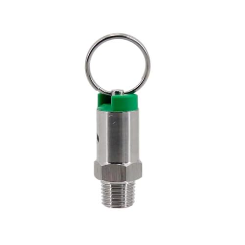 1 Stück Überdruckventil aus Edelstahl 304 for selbstgebraute Fässer – 1/4 Zoll NPT-Außengewinde, einstellbar von 17 PSI bis 100 PSI(65psi) von GSUNLEO