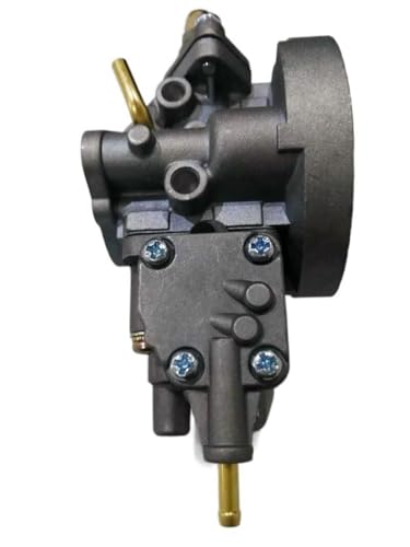 Kompatibler Vergaser Kompatibel mit 3F-30 3WF-700 G5K 1E46 1E46F Universal 2-Takt-Sprühgerät-Motorteile Kompatibler Vergaser Kompatibel mit 3F-30 3WF-700 G5K 1E46 1E46F Universal 2-Takt-Sprühgerät-Motorteile von GSwReJ