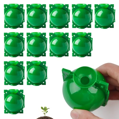 12 Stücke Pflanzenwurzelbox, Wiederverwendbares Pflanzenwurzelgerät, Pflanzenwurzel Wachstumsbox, Pflanzenwurzelkugeln, Wachstumsbox Plant Rooting Ball für Gartenpfropfung Wurzelbildung (Grün) von GTJEOI