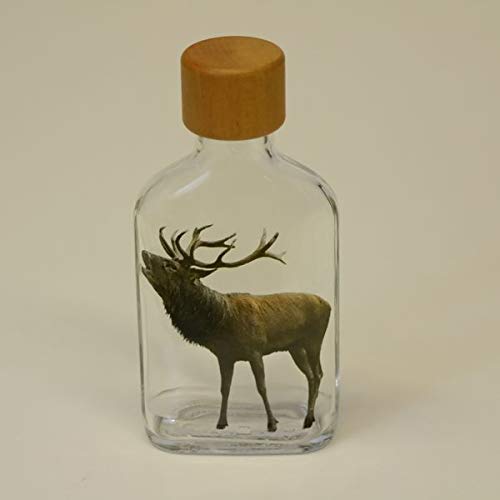 GTK - Geweihe & Trophäen KRUMHOLZ Kleine Flasche 100ml Glasfasche Flachmann Schnapsflasche mit Jagd Motiv Rothirsch Hirsch von GTK - Geweihe & Trophäen KRUMHOLZ