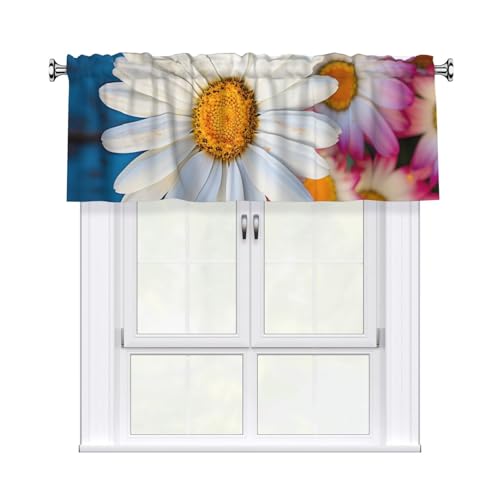 GTKSYNVE Barberton Gänseblümchen-Volants für Fenster, Stangentasche, Fenstervolant, kleine Fensterbehandlung, Volants für Küche, Verdunkelungsvorhänge, kurze Vorhänge für Schlafzimmer, 137 x 45 cm GTKSYNVE Barberton Gänseblümchen-Volants für Fenster, Stangentasche, Fenstervolant, kleine Fensterbehandlung, Volants für Küche, Verdunkelungsvorhänge, kurze Vorhänge für Schlafzimmer, 137 x 45 cm von GTKSYNVE