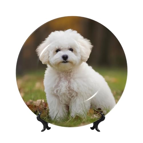 GTKSYNVE Bichon Frisé-Hund aus Knochenporzellan, dekorative Teller, 15,2 cm, personalisierbar, Keramik-Dekoteller mit Präsentationsständer, Keramik-Ornamente, Kunst-Porzellanteller für Zuhause, Büro GTKSYNVE Bichon Frisé-Hund aus Knochenporzellan, dekorative Teller, 15,2 cm, personalisierbar, Keramik-Dekoteller mit Präsentationsständer, Keramik-Ornamente, Kunst-Porzellanteller für Zuhause, Büro von GTKSYNVE
