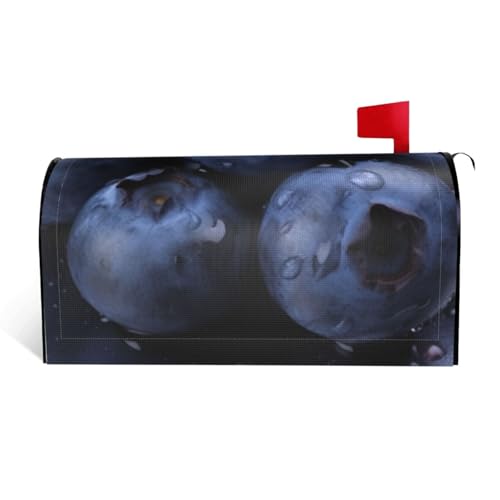 GTKSYNVE Blueberry Briefkastenabdeckungen, magnetisch, Standardgröße, 53,3 x 45,7 cm, dekorative Briefkasten-Abdeckung, wasserdichte Briefkasten-Abdeckung, personalisierte Briefkasten-Abdeckungen für GTKSYNVE Blueberry Briefkastenabdeckungen, magnetisch, Standardgröße, 53,3 x 45,7 cm, dekorative Briefkasten-Abdeckung, wasserdichte Briefkasten-Abdeckung, personalisierte Briefkasten-Abdeckungen für von GTKSYNVE