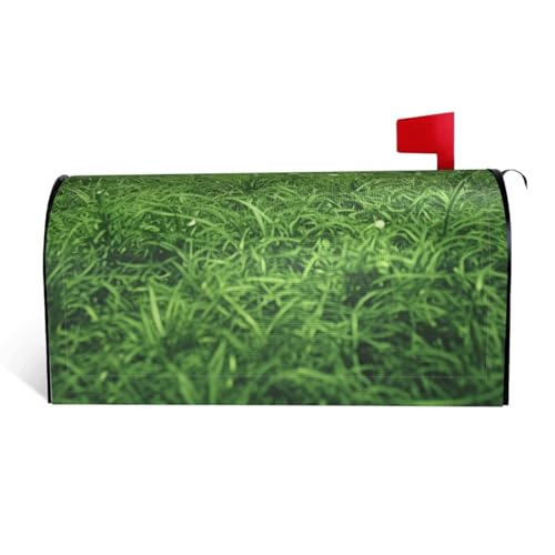 GTKSYNVE Briefkastenabdeckungen, magnetisch, Standardgröße, 53,3 x 45,7 cm, dekorative Briefkastenabdeckung, wasserdichte Briefkastenabdeckung, personalisierte Briefkastenabdeckungen für Garten GTKSYNVE Briefkastenabdeckungen, magnetisch, Standardgröße, 53,3 x 45,7 cm, dekorative Briefkastenabdeckung, wasserdichte Briefkastenabdeckung, personalisierte Briefkastenabdeckungen für Garten von GTKSYNVE