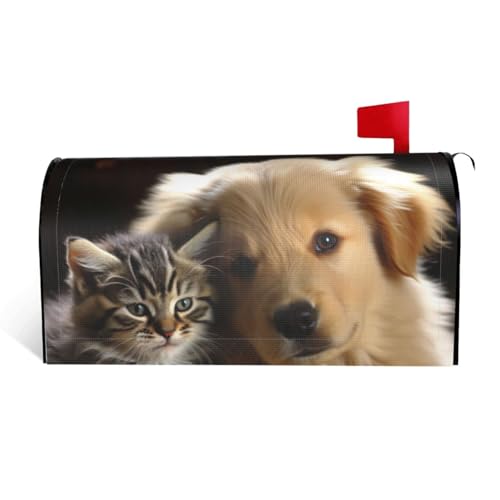GTKSYNVE Briefkastenabdeckungen mit Katzen und Hunden, magnetisch, Standardgröße, 64,8 x 53,3 cm, dekorative Briefkasten-Abdeckung, wasserdichte Briefkasten-Abdeckung, personalisierte GTKSYNVE Briefkastenabdeckungen mit Katzen und Hunden, magnetisch, Standardgröße, 64,8 x 53,3 cm, dekorative Briefkasten-Abdeckung, wasserdichte Briefkasten-Abdeckung, personalisierte von GTKSYNVE