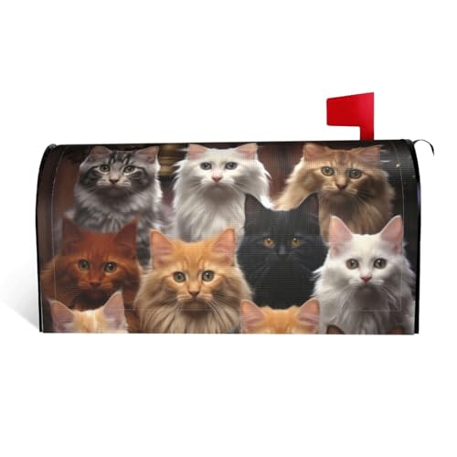 GTKSYNVE Cat Collection Briefkastenabdeckungen, magnetisch, Standardgröße, 64,8 x 53,3 cm, dekorative Briefkastenabdeckung, wasserdichte Briefkastenabdeckung, personalisierte Briefkastenabdeckungen von GTKSYNVE
