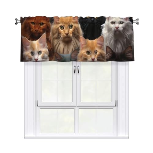 GTKSYNVE Cat Collection Volants für Fenster, Stangentasche, Fenstervolant, kleine Fensterbehandlung, Volants für Küche, Vorhänge, Verdunkelung, kurze Vorhänge für Schlafzimmer, 137 x 45 cm GTKSYNVE Cat Collection Volants für Fenster, Stangentasche, Fenstervolant, kleine Fensterbehandlung, Volants für Küche, Vorhänge, Verdunkelung, kurze Vorhänge für Schlafzimmer, 137 x 45 cm von GTKSYNVE