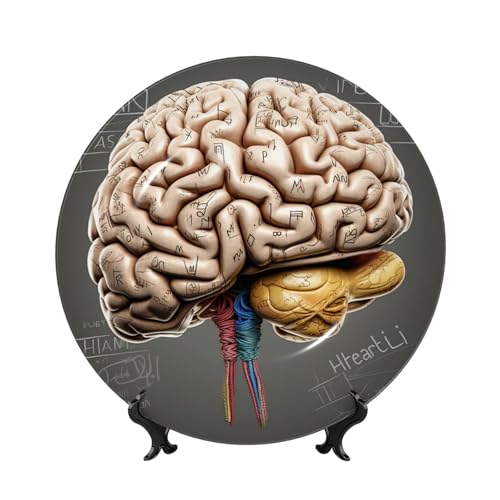 GTKSYNVE Dekorative Teller aus menschlichem Gehirn, Knochenporzellan, 17,8 cm, personalisierbar, Keramik-Dekoteller mit Präsentationsständer, Keramik-Ornamente, Kunst-Porzellanteller für Zuhause, Büro von GTKSYNVE