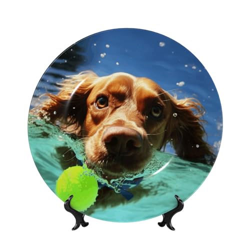 GTKSYNVE Dekorativer Teller aus Knochenporzellan, lustiger schwimmender Hund, 17,8 cm, personalisierbar, Keramik-Dekoteller mit Präsentationsständer, Keramikornamente, Kunst-Porzellanteller für GTKSYNVE Dekorativer Teller aus Knochenporzellan, lustiger schwimmender Hund, 17,8 cm, personalisierbar, Keramik-Dekoteller mit Präsentationsständer, Keramikornamente, Kunst-Porzellanteller für von GTKSYNVE