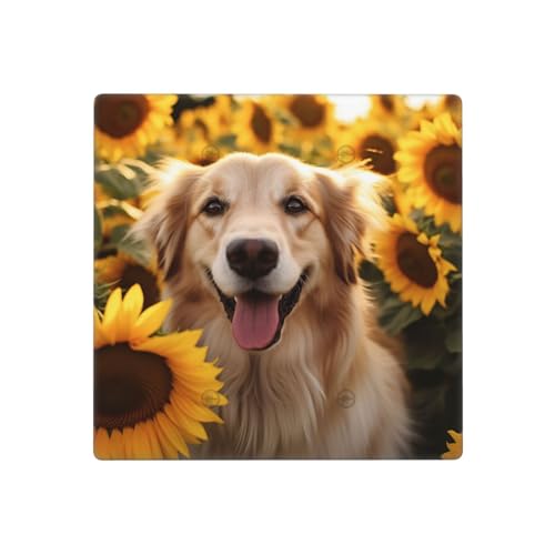 Wandplatten mit Hund und Sonnenblume, dekorative Lichtschalter-Abdeckung, 2-Gang-Steckdosenabdeckungen, elektrische Schalterplatte, thermoplastische Blende für Dekorateure, Schrauben im Lieferumfang Wandplatten mit Hund und Sonnenblume, dekorative Lichtschalter-Abdeckung, 2-Gang-Steckdosenabdeckungen, elektrische Schalterplatte, thermoplastische Blende für Dekorateure, Schrauben im Lieferumfang von GTKSYNVE