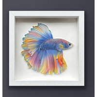 Quilled Fish Art, Betta Fisch, 3D Gerahmte Papiermalerei, Mit Glas Bedeckt, Einzigartiges Geschenk Für Jahrestag, Hochzeit, Geburtstag von GTLand