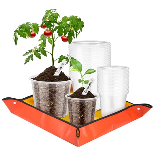 GTNCE 40 Stück Klare Anzuchttöpfe mit 66cm x 66cm Pflanzmatte, 9cm 10cm Orchideentopf Transparent mit Ablauflöchern und 20 Pflanzenetiketten, Kunststoff Blumentöpfe für Samen, Setzlinge von GTNCE