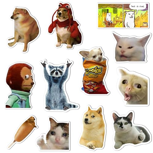 GTOTd Cat Meme Magnet Kühlschrankmagnet (12 Stück) Geschenke Merch Lustige Dekoration Stoßstangen Aufkleber Kühlschrank Metallmagnet Flexibel Wiederverwendbar Magnetisches Vinyl von GTOTd