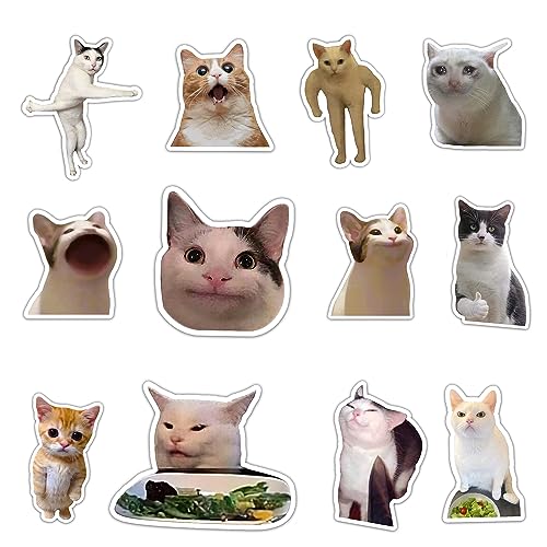 GTOTd Cat Meme Magnet Kühlschrankmagnete (12 Stück) Lustiger Stoßstange Büro Schränke Dekoration Kühlschrank Metall Magnet Flexibel Wiederverwendbar Magnetisch Vinyl von GTOTd