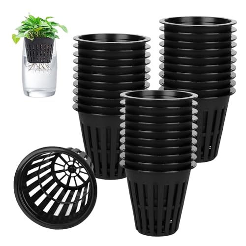 Hydroponik Net Pot, 30 Stück Hydroponischer Becher, Hydrokultur Töpfe, Pflanztöpfe für Hydrokultur, Wasserkultur Pflanzkorb Net Pot, Plant Net Cup Töpfe für Hydroponics Supplie, Schwarz (30PCS) von GTYARYUA