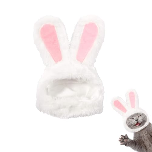 Katzenkleidung, Häschenkostüm für Katzen, Katzen Hut, Katzen Kleidung, Katze Hut, Osterkostüm Hund, Cat Hasenhut, Osterhüte für Haustiere, für Katzen und Welpen, Hasenohren für Oster-Cosplay Katzenkleidung, Häschenkostüm für Katzen, Katzen Hut, Katzen Kleidung, Katze Hut, Osterkostüm Hund, Cat Hasenhut, Osterhüte für Haustiere, für Katzen und Welpen, Hasenohren für Oster-Cosplay von GTYARYUA