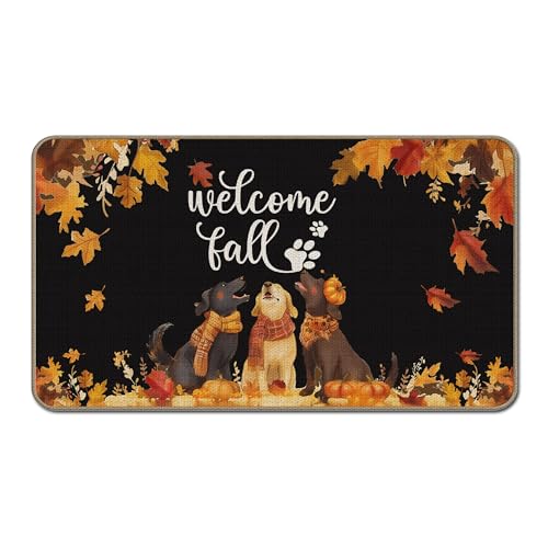 Fußmatte mit Aufschrift "Welcome Fall", 43,2 x 76,2 cm, Geschenk für Frauen, Kürbis-Fußmatte, Herbst-Outdoor-Matten für Haustür, Schwarz von GTYNU