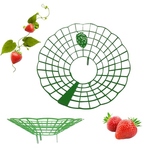 GUAHKUN Erdbeerstützen Ständer 9x27cm Grün Schneckenschutz Schutz vor Schimmel Fäulnis für Gewächshaus Topfpflanzen Gartenbeete mit 3 Verstärkten Beinen (B) von GUAHKUN