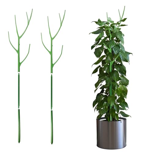 Pflanzenstütze, Pflanzstäbe 100cm Pflanzstab Grüne Pflanzenstab Pflanzenstützen, Tomatenstäbe Tomaten Rankhilfe, Rankstab Rankstäbe Für Haus Garten Kletterpflanze Erweiterung Der Pflanzenstütze (2pcs) von GUAHKUN