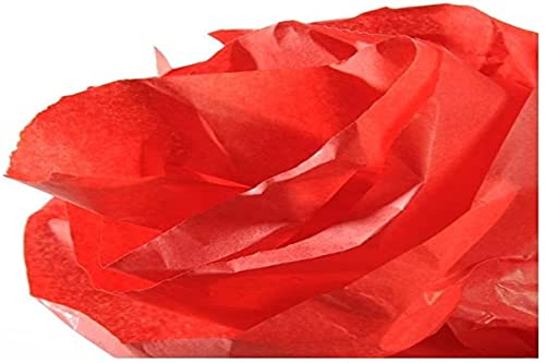 GUARRO CANSON 200992662 Rolle Seidenpapier, 0.5 x 5 m, rot GUARRO CANSON 200992662 Rolle Seidenpapier, 0.5 x 5 m, rot von Canson