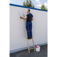 Günzburger Leiter Anlegeleiter Holz Sprossen 1x8 033108 von GÜNZBURGER STEIGTECHNIK