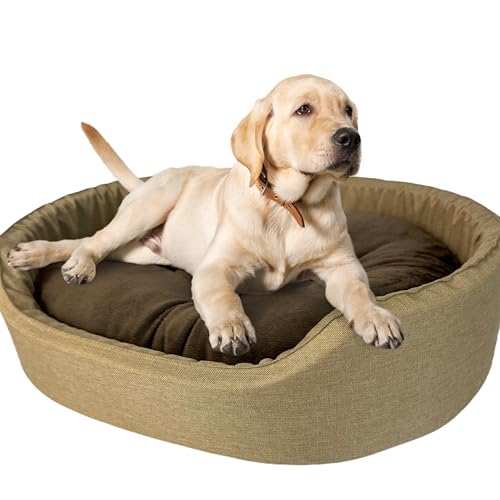 Hundebett für sehr große Hunde Größe XXL 88x76x18 cm - Hundekörbchen mit wasserabweisender Kissenfüllung - Bezug aus Polyester mit rutschfestem Boden, Beige-Braun von GUGI