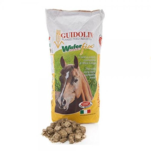 Guidolin Wafer Fioc 20Kg Heu und Kraftfutter in einem für Ihr Pferd Guidolin Wafer Fioc 20Kg Heu und Kraftfutter in einem für Ihr Pferd von BYUP