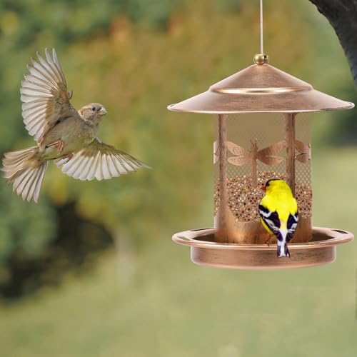 Eichhörnchensicher Hängender Vogelfutterspender für kleine Vögel, Metall, für den Außenbereich, Wildsamenvogel-Futterstation mit Drainageloch, Gartenornamente, hängende Vogelhäuser für Hinterhof von GUIJZSLTRG