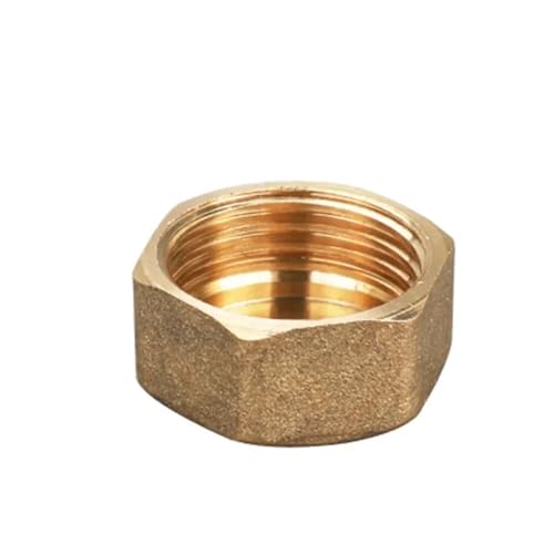 GUIPENG Kupfer 1/8" 1/4" 3/8" 1/2" 3/4" 1" Außengewinde/Innengewinde Messingrohr Sechskantkopf Endkappe Stecker Fitting Kupplung Anschlussadapter(Female Plug,1/4") von GUIPENG