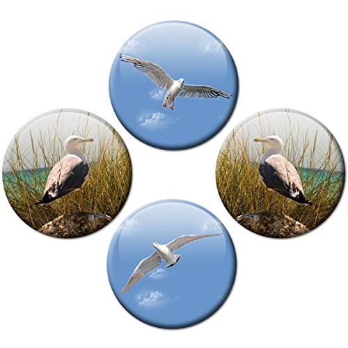 Kühlschrankmagnete See Möwen 4er Geschenk Set Maritim Magnete für Magnettafel Kühlschrank stark groß Ø 50 mm von GUMA Magneticum