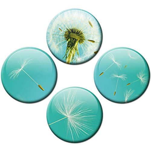 Kühlschrankmagnete Pusteblume 4er Geschenk Set Magnete Blumen für Magnettafel stark groß Ø 50 mm Türkis Kühlschrankmagnete Pusteblume 4er Geschenk Set Magnete Blumen für Magnettafel stark groß Ø 50 mm Türkis von GUMA Magneticum