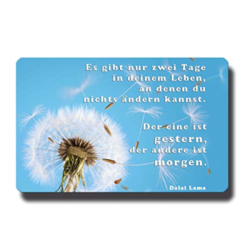 Metall Kühlschrankmagnet Pusteblume lustig mit Spruch Tage im Leben Deko Magnet Motivation Sprüche Geschenk Poesie Weisheiten für Kühlschrank Magnettafel von GUMA Magneticum