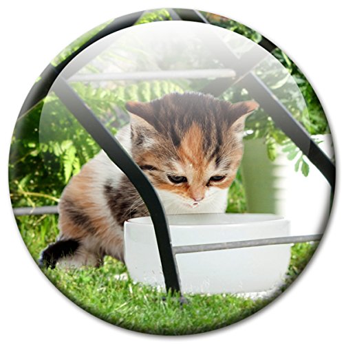 Kühlschrankmagnet Katze mit lustigem Katzenmotiv „Unter dem Gartenstuhl!“, Magnete für Magnettafel, Bunt, stark groß rund 50mm von GUMA Magneticum