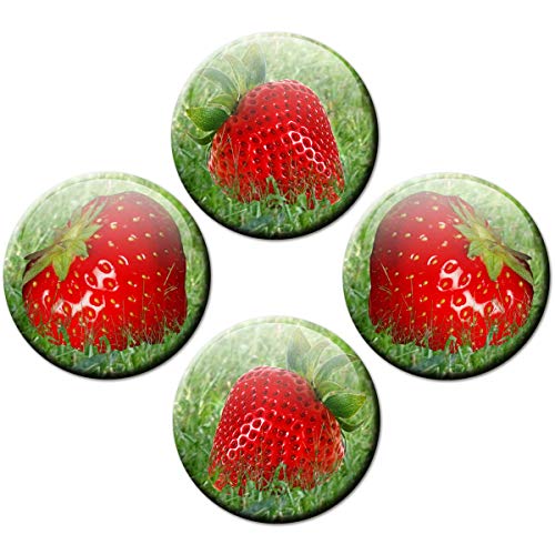 Kühlschrankmagnete Erdbeeren 4er Geschenk Set Magnete Garten Obst Früchte für Magnettafel stark groß Ø 50 mm Rot von GUMA Magneticum