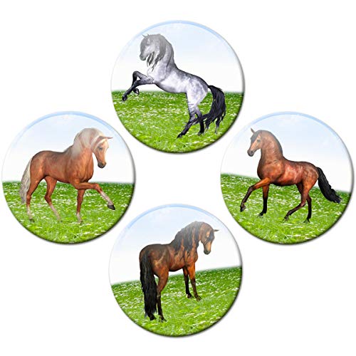 Kühlschrankmagnete Pferde 4er Geschenk Set Pferdemotiv Magnete lustig für Magnettafel Kinder stark groß Ø 50 mm von GUMA Magneticum