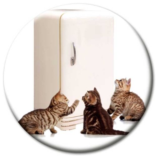 Kühlschrankmagnet Katze mit lustigem Katzenmotiv „Katzen am Kühlschrank!“, Magnete für Magnettafel, Bunt, stark groß rund 50mm von GUMA Magneticum