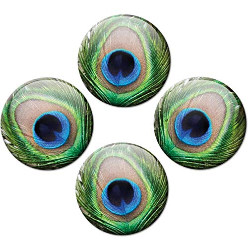 Magnete Pfau für Glasmagnettafel 4er Geschenk Set Pfauen Augen Blau extra stark groß Ø 50 mm von GUMA Magneticum