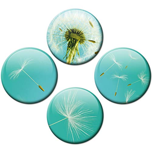 Magnete Pusteblume für Glasmagnettafel 4er Geschenk Set Blumen für Blumenfreunde extra stark groß Ø 50 mm Türkis von GUMA Magneticum