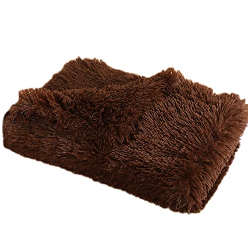 GUOCU Hundedecken Flauschig Plüsch Katzendecke Super Softe Weiche Warme Einfarbig Doppeilseitige Haustierdecke Weiche Fleecedecke Waschbare, Bett Decken für Hunde Und Katze,Kaffee1,100×75cm GUOCU Hundedecken Flauschig Plüsch Katzendecke Super Softe Weiche Warme Einfarbig Doppeilseitige Haustierdecke Weiche Fleecedecke Waschbare, Bett Decken für Hunde Und Katze,Kaffee1,100×75cm von GUOCU