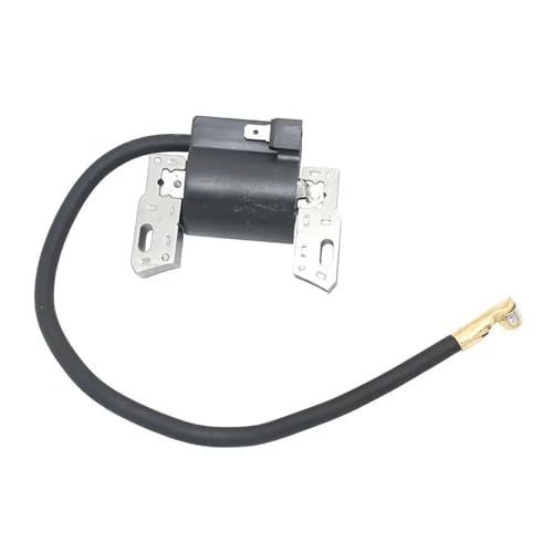 GUOFHUIO Zündspule Magneto Anker for B-Rig und S-trat 591420 793281 793352 792594 395489 398593 496914 GUOFHUIO Zündspule Magneto Anker for B-Rig und S-trat 591420 793281 793352 792594 395489 398593 496914 von GUOFHUIO